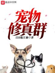 我在文明竞赛召唤玩家种田