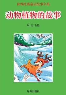 TF之星空下的信仰