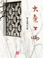 元计划