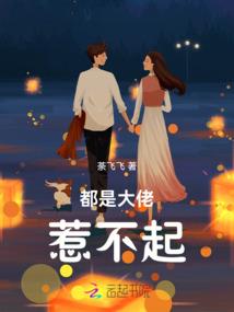 我要踏平张氏府