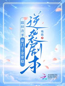匹夫的强袭