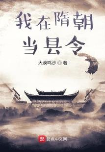 世纪末的流星