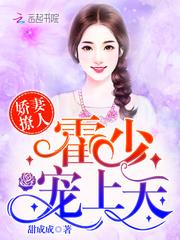 寻觅——前言