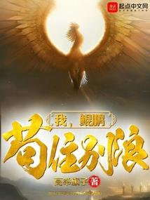 落樱的回忆之迷离的过去