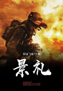 傲天之战
