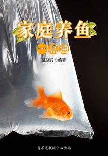 鲤歌传