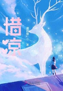 降维后的我是不是凉了