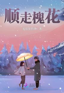 穿越之为君撇下爱的翅膀