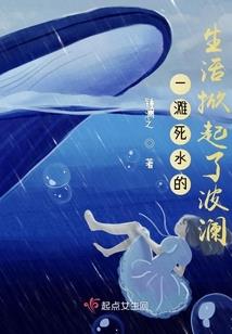 启航梦幻之旅