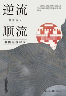 重生流水年华