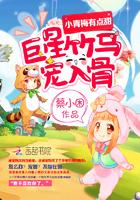 火影之灵魂法王
