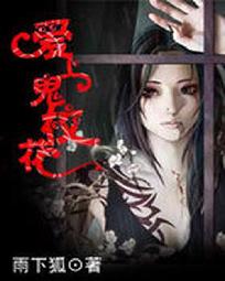 守护甜心之朝颜一世