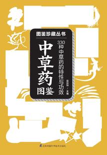 异世成长记录