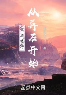 精灵宝可梦之新冒险