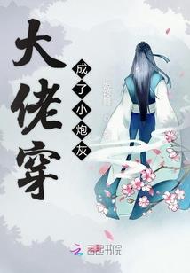 长城计划之名字已使用