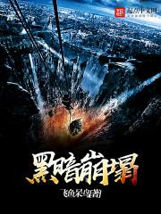 圣武天盗