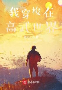 穿梭者日记