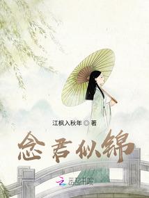 凤舞九天为何许
