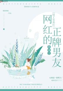 壶里乾坤只少年