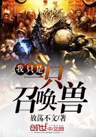 暖阳烁星中