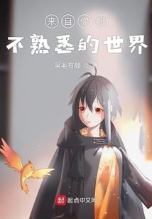怒放的玫瑰