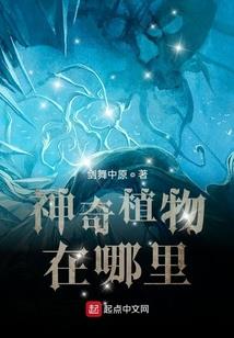 我的男友是美人儿