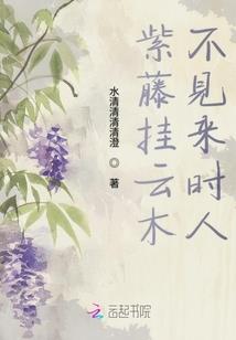 正义之瞳