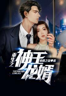 超强导航仪