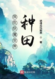 拥有很多系统的生活