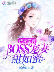 拐个王妃回古代