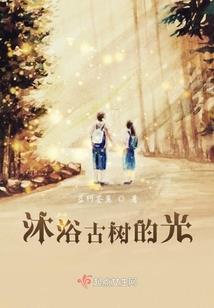 17岁的猫
