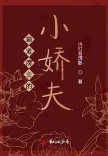 灵导世界