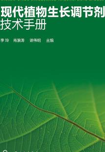 快斗的传奇故事