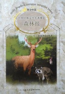 传奇钢铁侠
