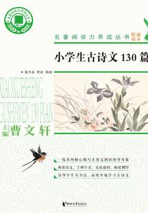 痞子皇帝
