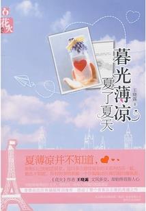 南边的天，北边的极光