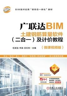 辛岚之子