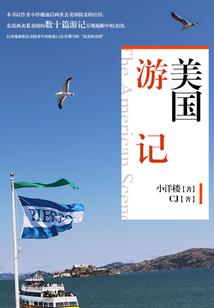 少将，请投降
