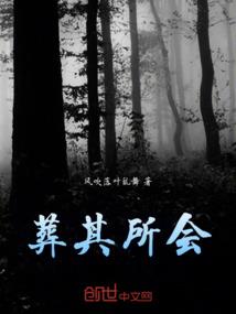 网游之夜舞之雪