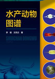 临界之谜