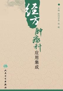 北境王传奇