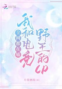 魔画天盗