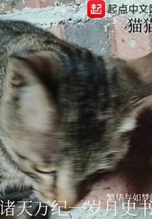 铁魂