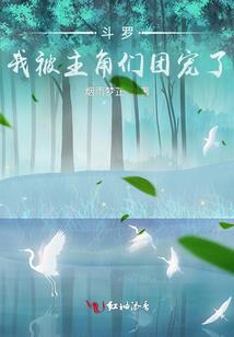 老罗的探案旅行