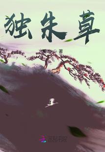 法老的诅咒