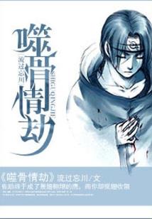 虚空流浪者实录