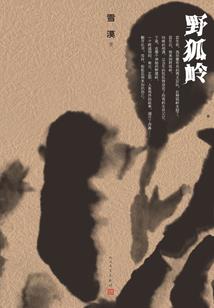 寒夜日记