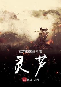 武纵神域