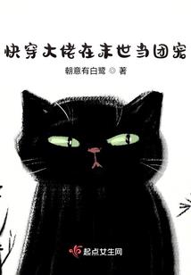 傻娘悍妻换颜有术