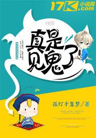 新红楼梦续集